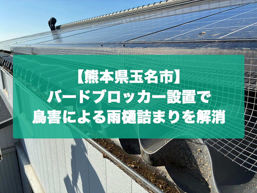 【熊本県玉名市】バードブロッカー設置で鳥害による雨樋詰まりを解消
